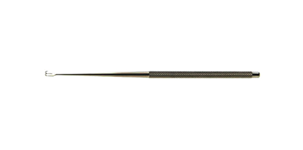 ZXG0070.jpg