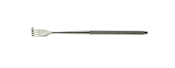 ZXG0090.jpg