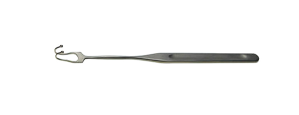 ZXG1030.jpg