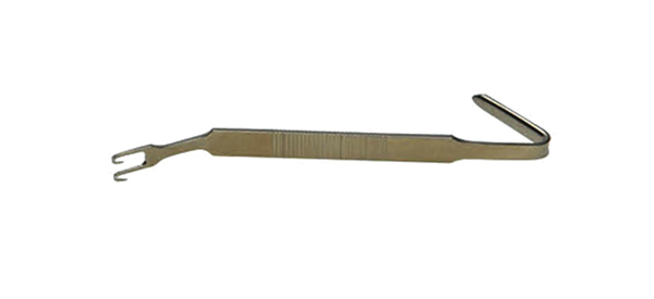 ZXG5070.jpg