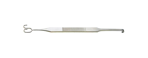 ZXG5080.jpg
