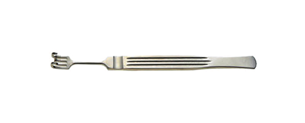 ZXG5090.jpg